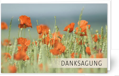 Mohn im Kornfeld